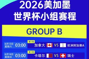 世界杯B组赛程：瑞士6月25日3:00对加拿大，14日3:00对卡塔尔